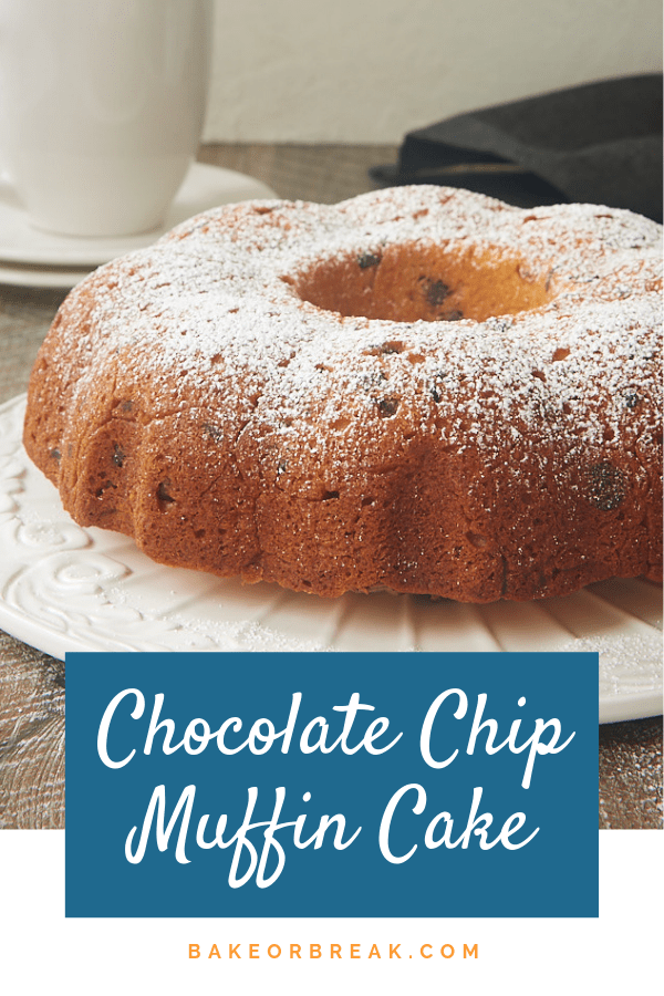 Chocolate Chip Muffin Cake bakeorbreak.com