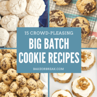 15 Crowd-Pleasing Big Batch Cookie Recipes bakeorbreak.com